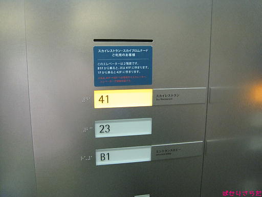 イメージ 5
