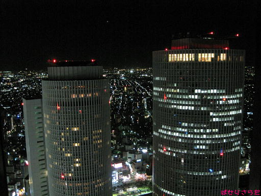 イメージ 6