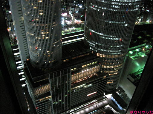 イメージ 7