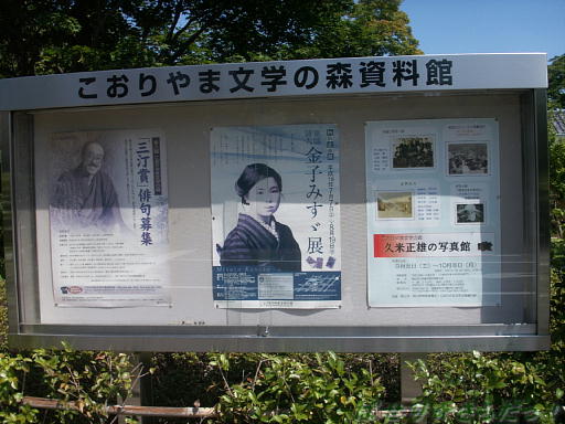イメージ 5