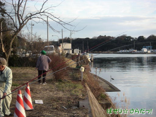 イメージ 3