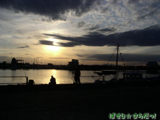 イメージ 5