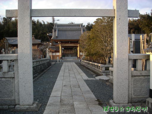 イメージ 6