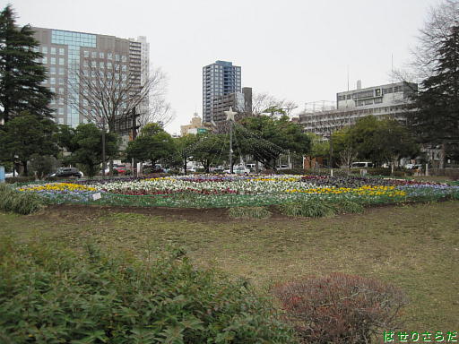 イメージ 4