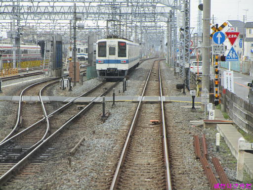 イメージ 5