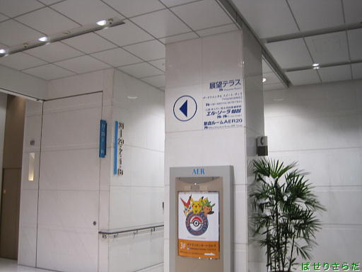 イメージ 8