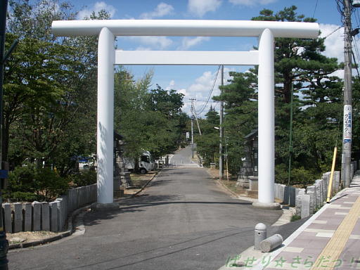 イメージ 2