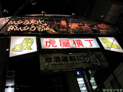 イメージ 5