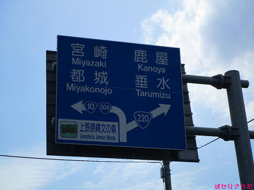イメージ 6