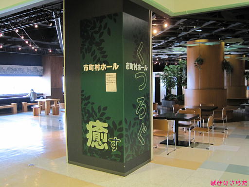 イメージ 5