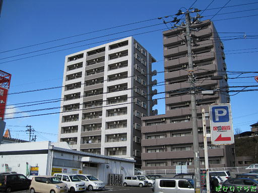 イメージ 3