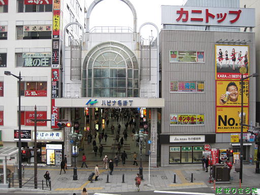 イメージ 5