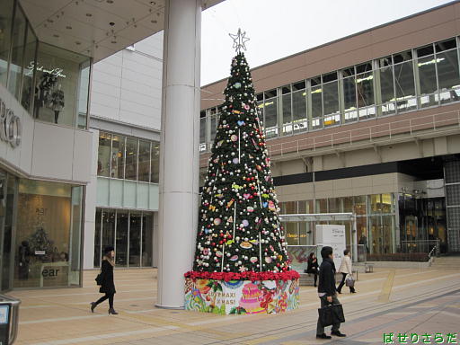 イメージ 8