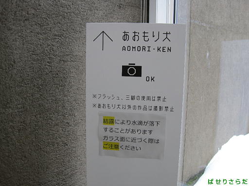 イメージ 8