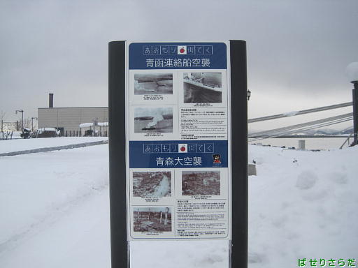 イメージ 7