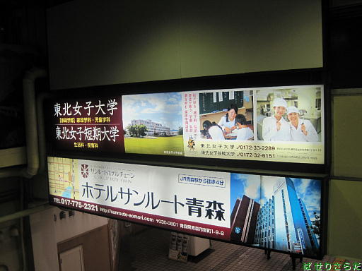 イメージ 7