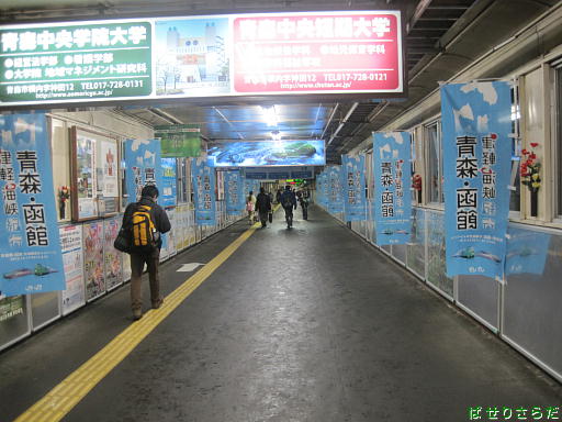 イメージ 10