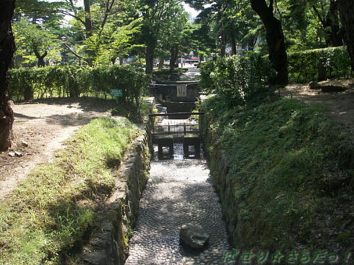 イメージ 6