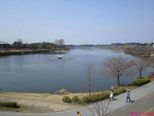 イメージ 2