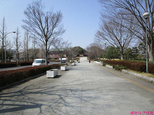 イメージ 6
