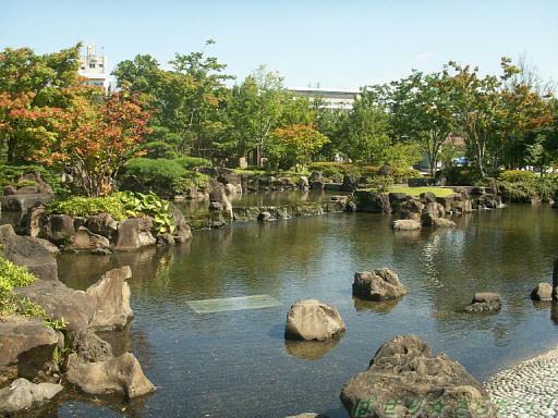 イメージ 4