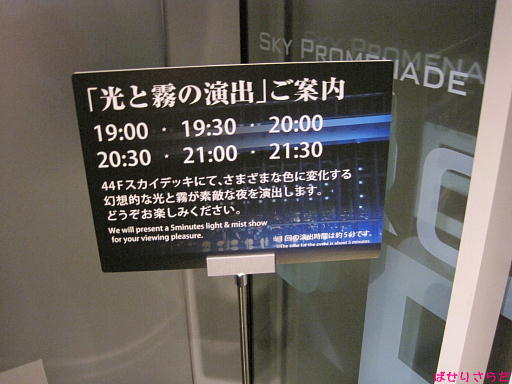 イメージ 6