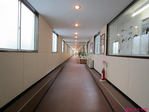イメージ 2