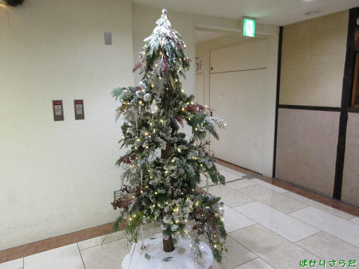 イメージ 9