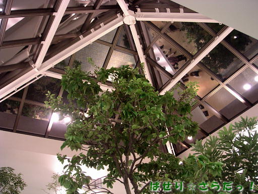 イメージ 4