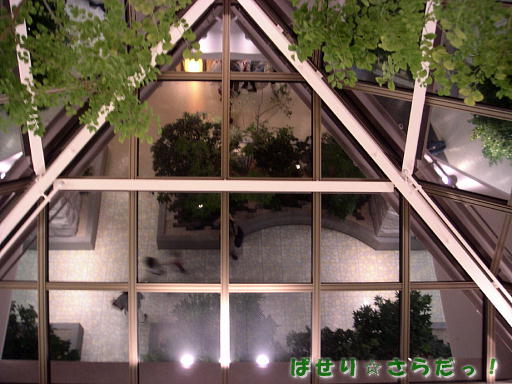 イメージ 5