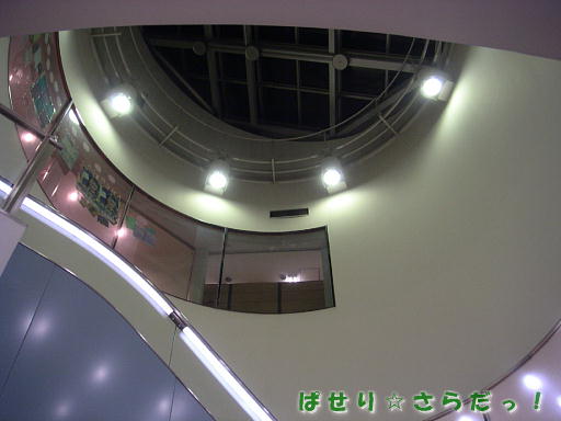 イメージ 3