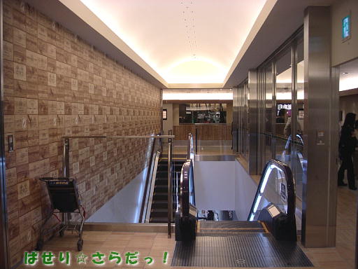 イメージ 4