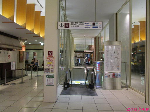 イメージ 8