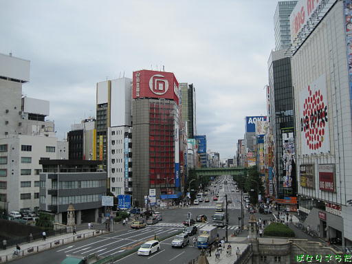 イメージ 5