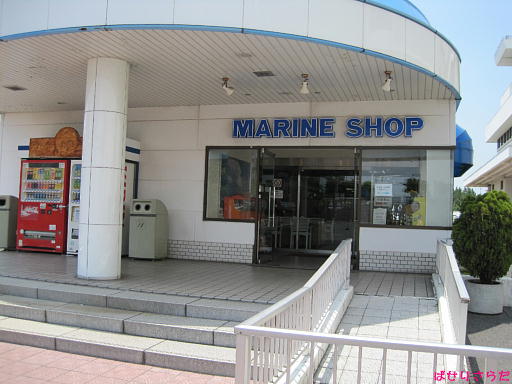 イメージ 3