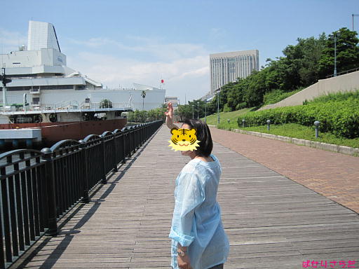イメージ 6