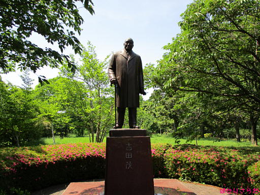 イメージ 6