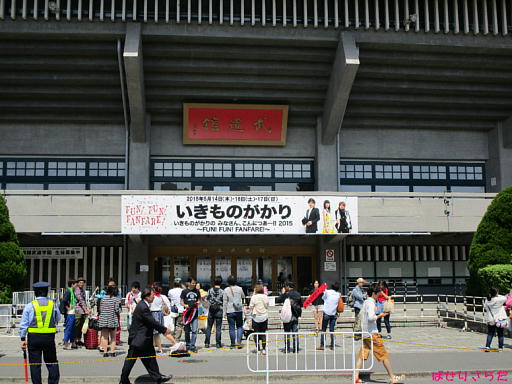 イメージ 7