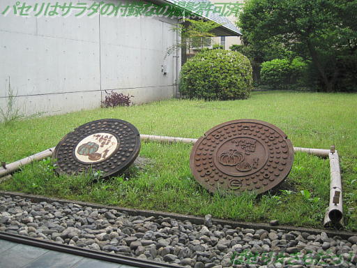 イメージ 3