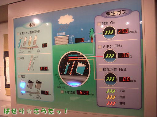 イメージ 5