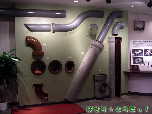 イメージ 6