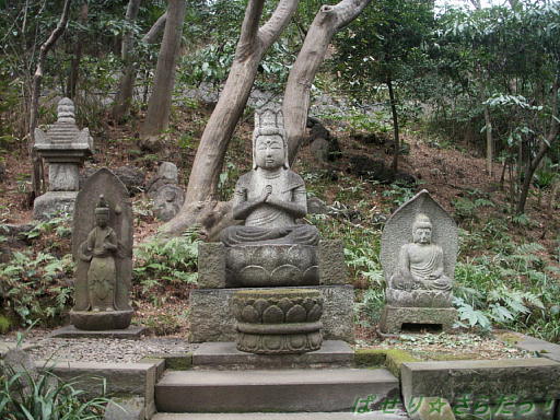イメージ 6