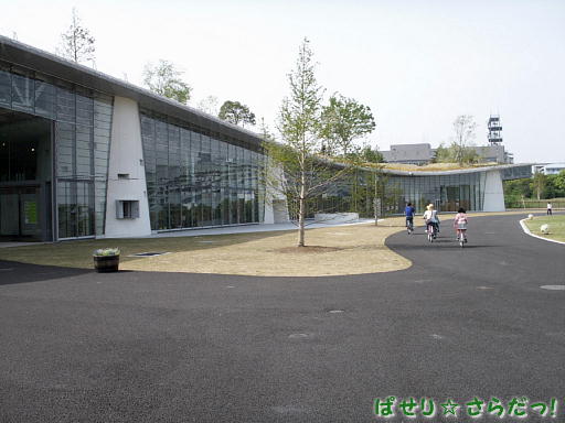 イメージ 6