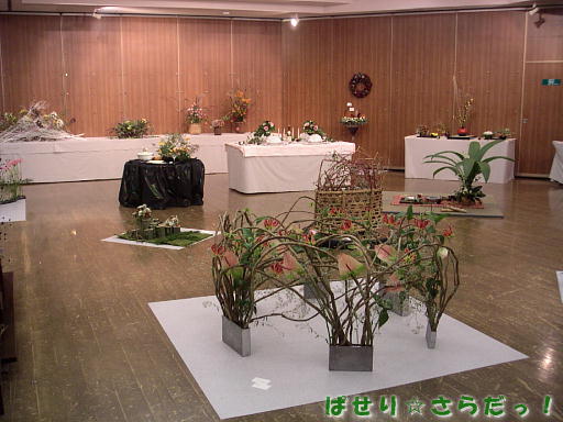 イメージ 3