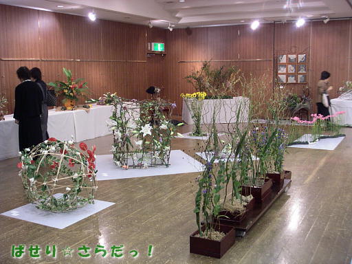 イメージ 4