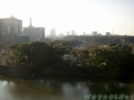 イメージ 6