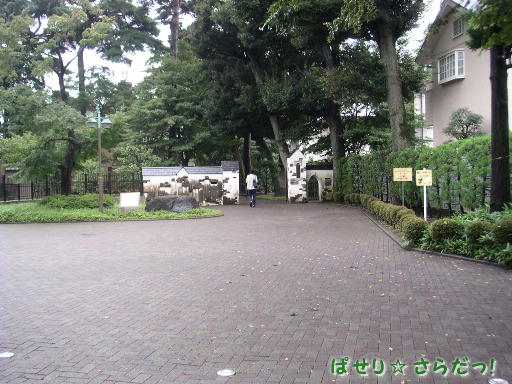 イメージ 2