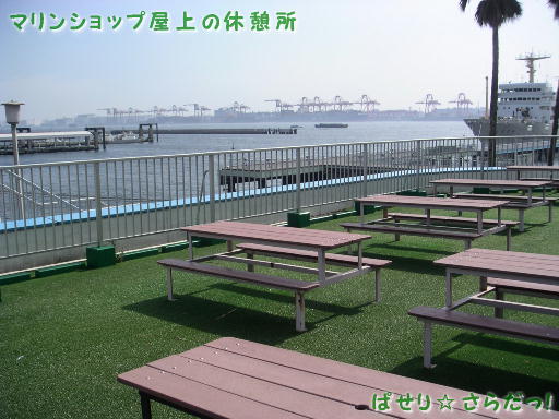 イメージ 6
