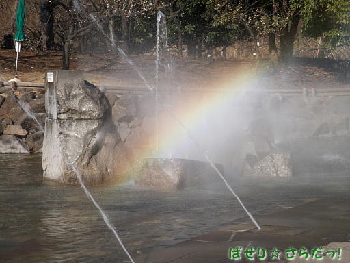 イメージ 6