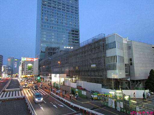 イメージ 7